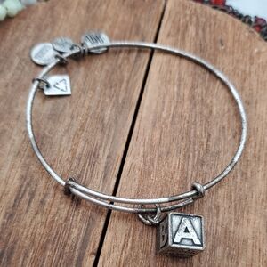 Alex And Ani Baby Block Silver Charm Bracelet  B3411
